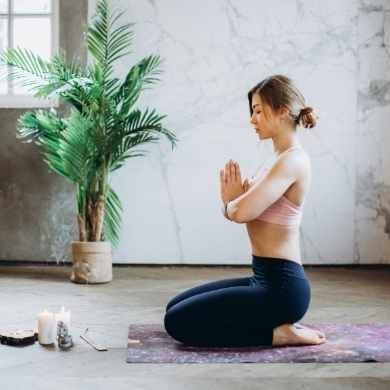 Electromagnetic therapy in wellness and fitness